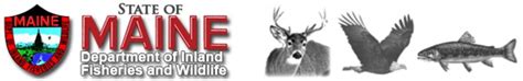 maine fish and game license.